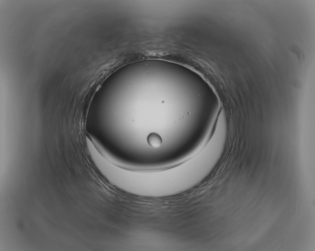 X0000113301444200910051032