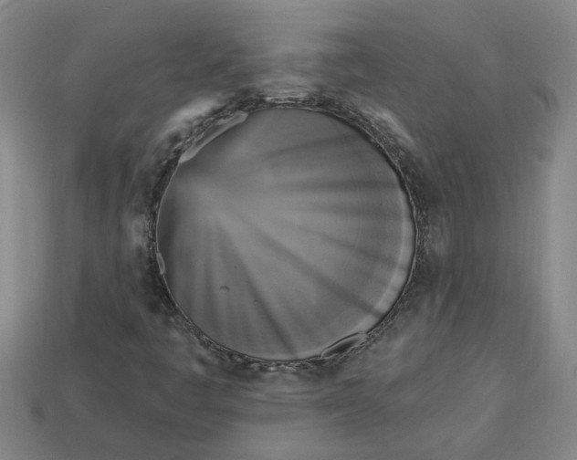 X0000113301445200910051032