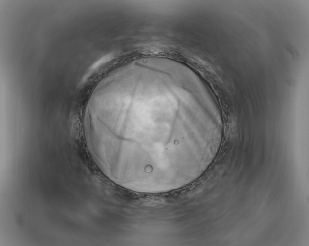 X0000113301446200910051032