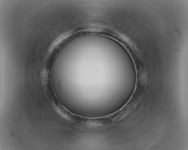 X0000113301448200910051032