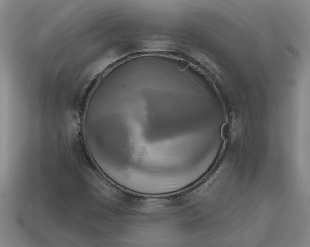 X0000113301449200910051032