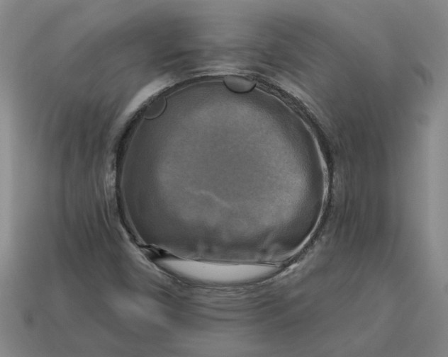 X0000113301450200910051032