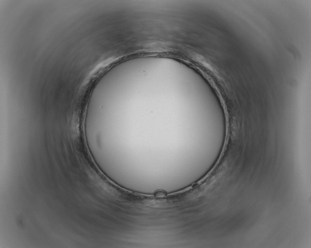 X0000113301451200910051032