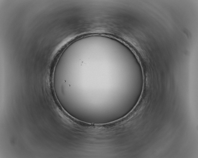 X0000113301452200910051032