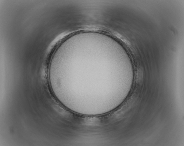 X0000113301454200910051032