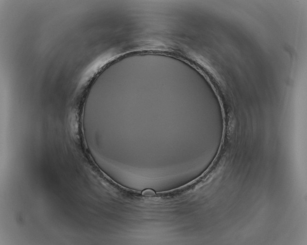 X0000113301455200910051032