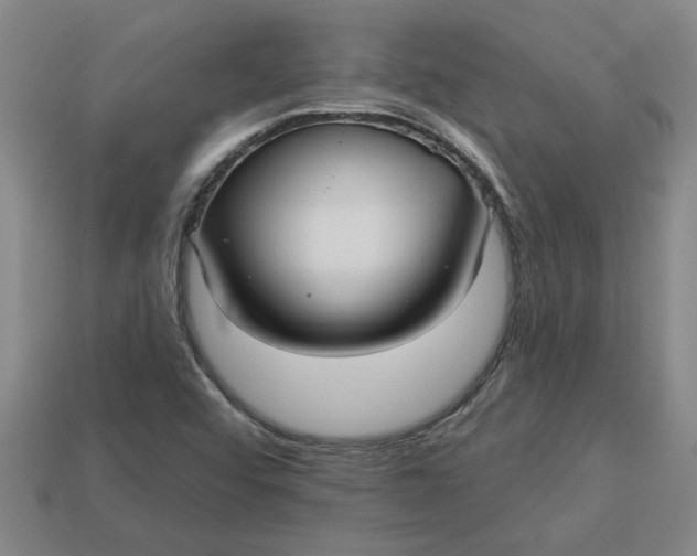 X0000113301456200910051032