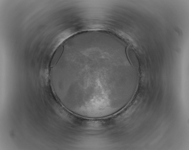 X0000113301457200910051032