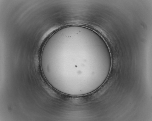 X0000113301458200910051032