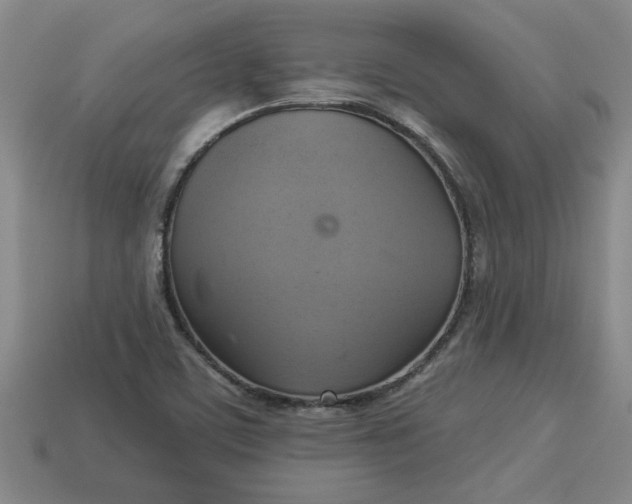 X0000113301459200910051032