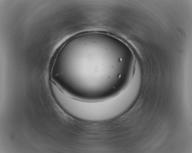 X0000113301460200910051032