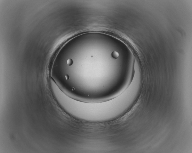 X0000113301461200910051032