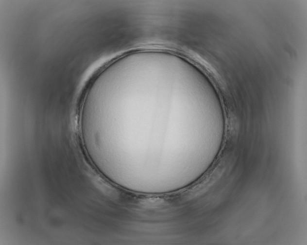 X0000113301462200910051032