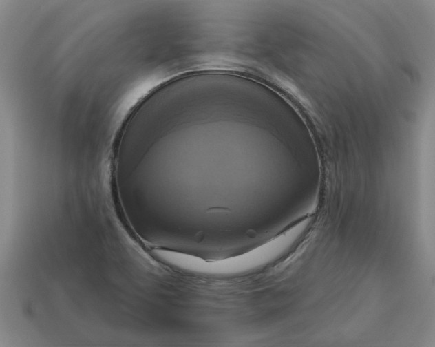 X0000113301463200910051032