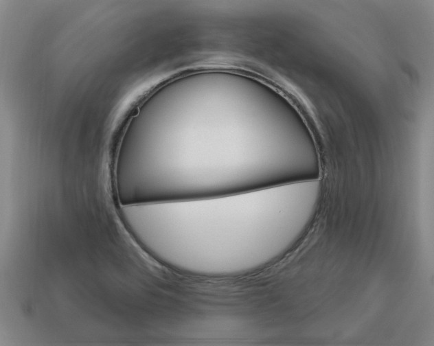 X0000113301464200910051032