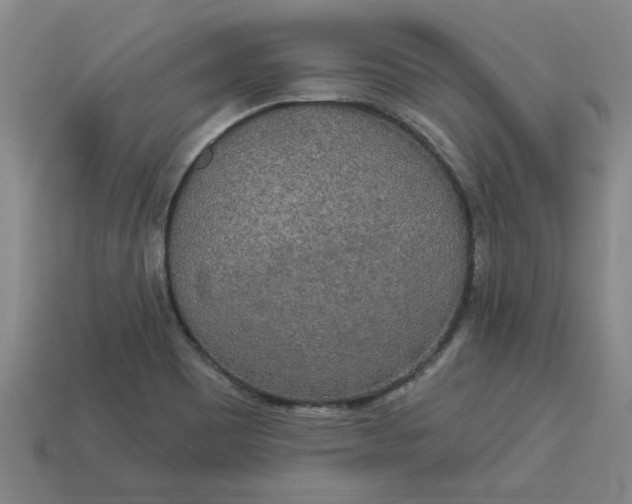 X0000113301465200910051032