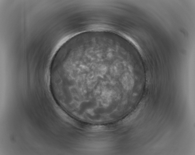 X0000113301467200910051032