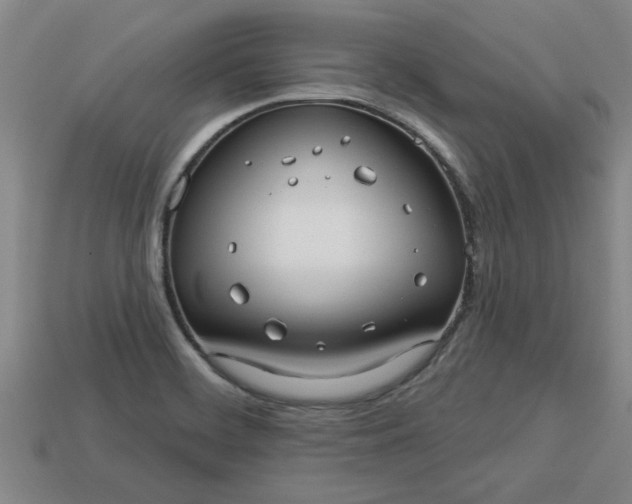 X0000113301468200910051032