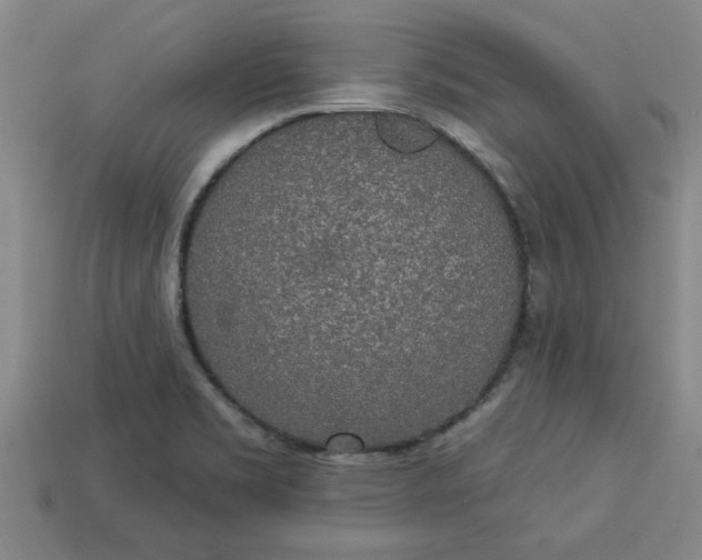 X0000113301469200910051032