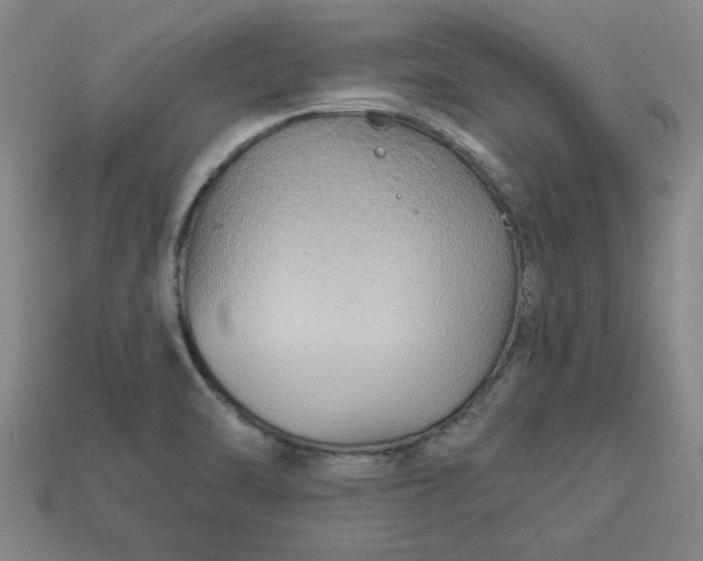 X0000113301470200910051032