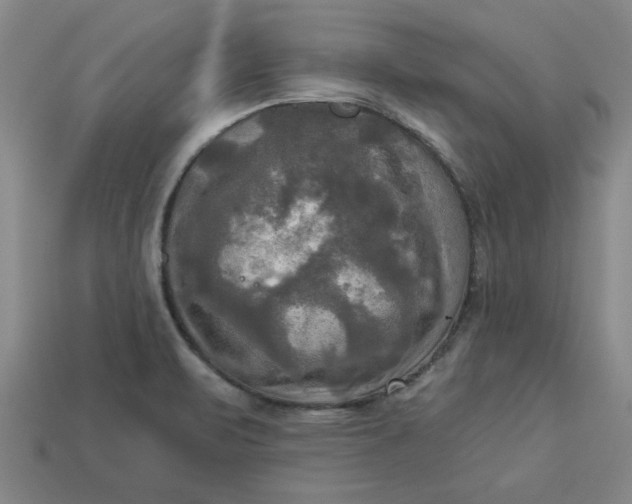 X0000113301471200910051032