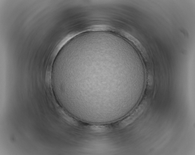 X0000113301473200910051032