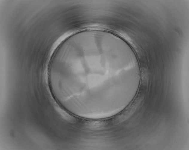 X0000113301474200910051032