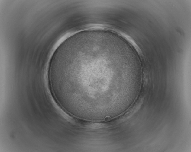 X0000113301475200910051032