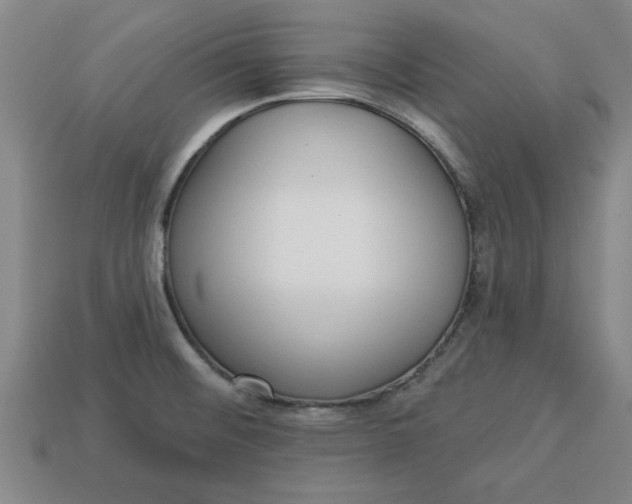 X0000113301476200910051032