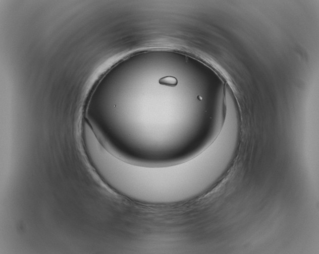 X0000113301477200910051032