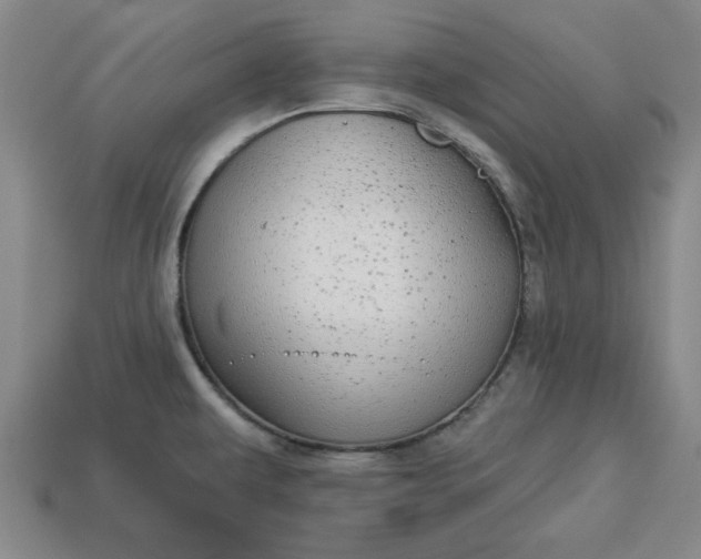 X0000113301479200910051032