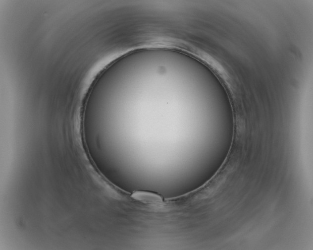 X0000113301480200910051032