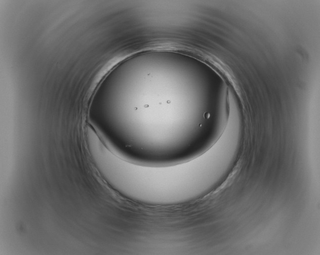 X0000113301481200910051032