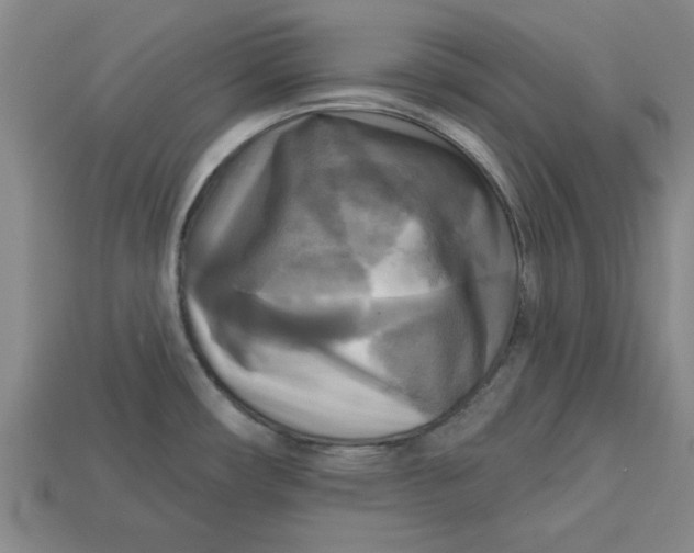 X0000113301482200910051032