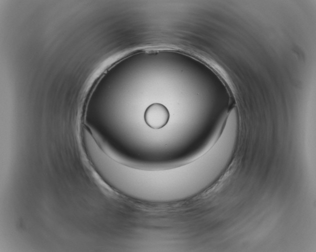 X0000113301485200910051032