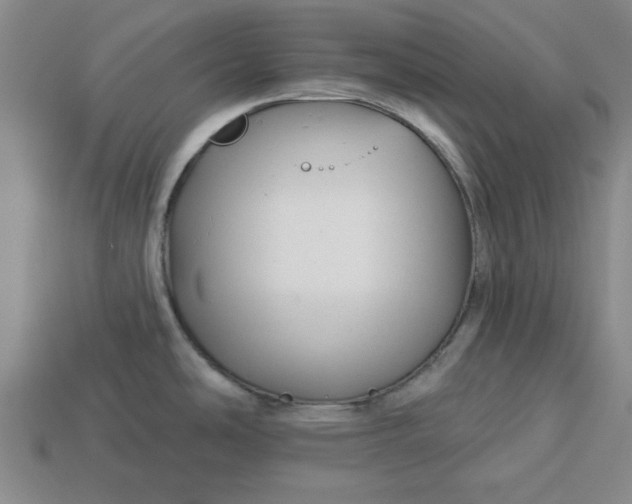 X0000113301486200910051032