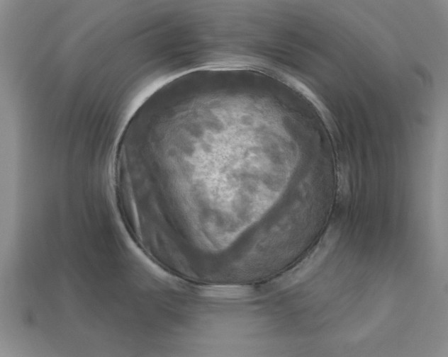 X0000113301487200910051032