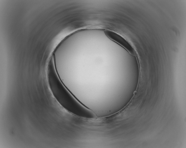 X0000113301488200910051032