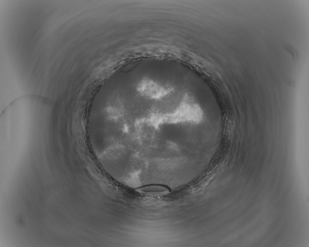 X0000113301489200910051031