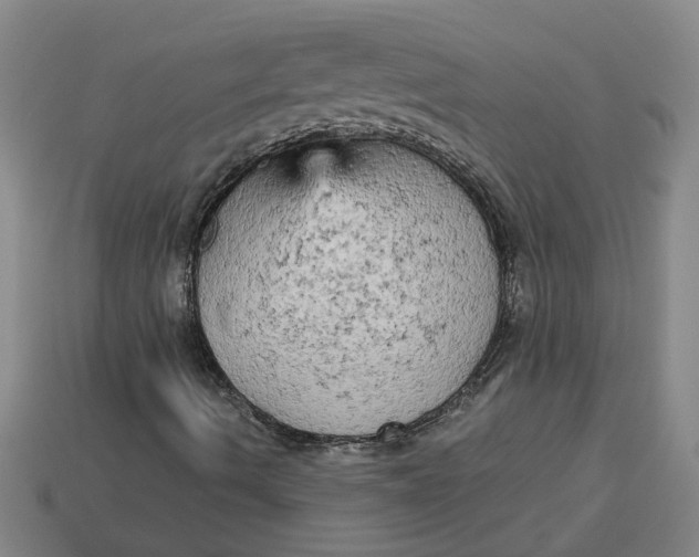 X0000113301490200910051031