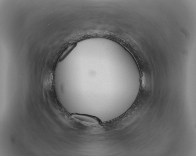 X0000113301492200910051031