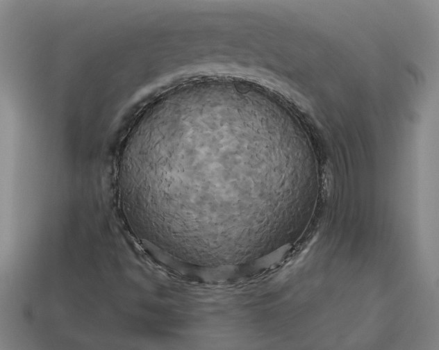 X0000113301494200910051031