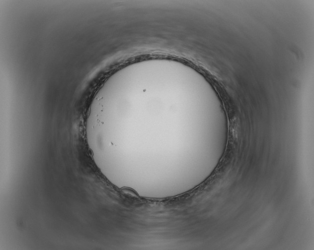 X0000113301495200910051031