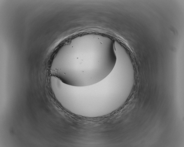 X0000113301496200910051031