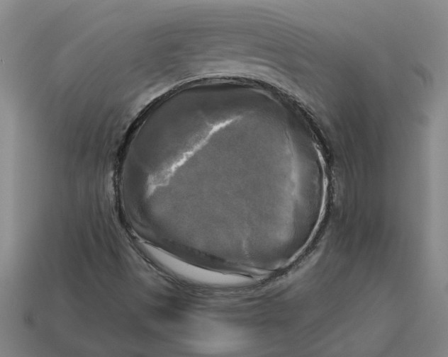 X0000113301497200910051031