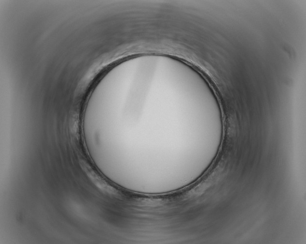 X0000113301499200910051031