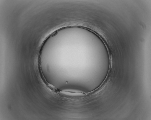 X0000113301500200910051031