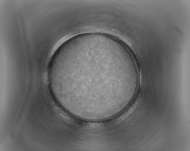 X0000113301501200910051031