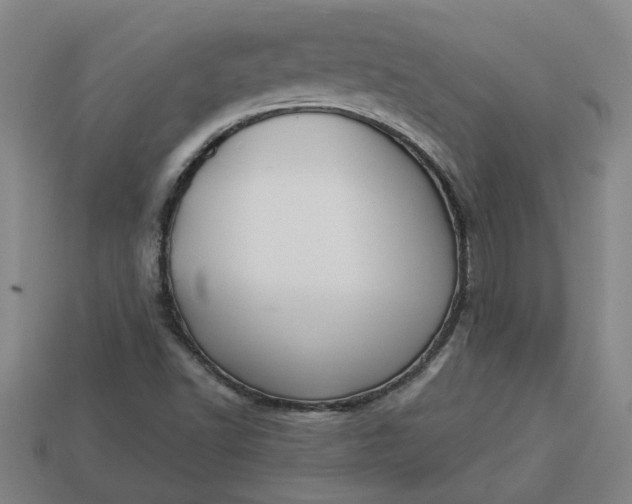 X0000113301502200910051031