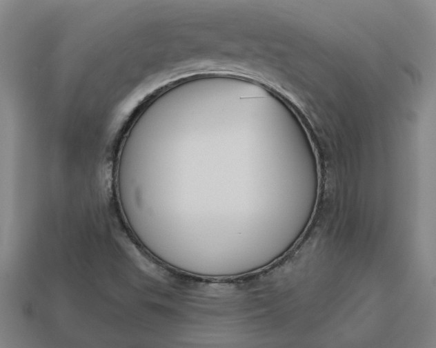 X0000113301503200910051031